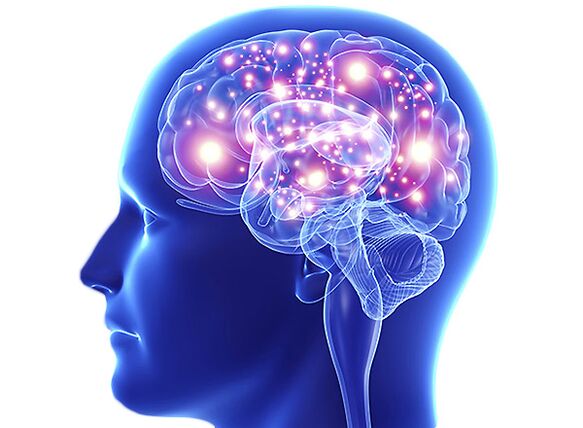 ZXCVBNMQwort to improve memory and attention